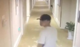 华姿酒店爆料视频播放,揭秘酒店内部惊人真相